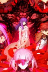 Fate/stay night Movie: Heaven’s Feel – II. Lost Butterfly Episode 1 English Subbed