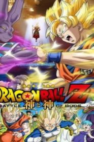 Dragon Ball Z: Battle of Gods Movie English Dubbed